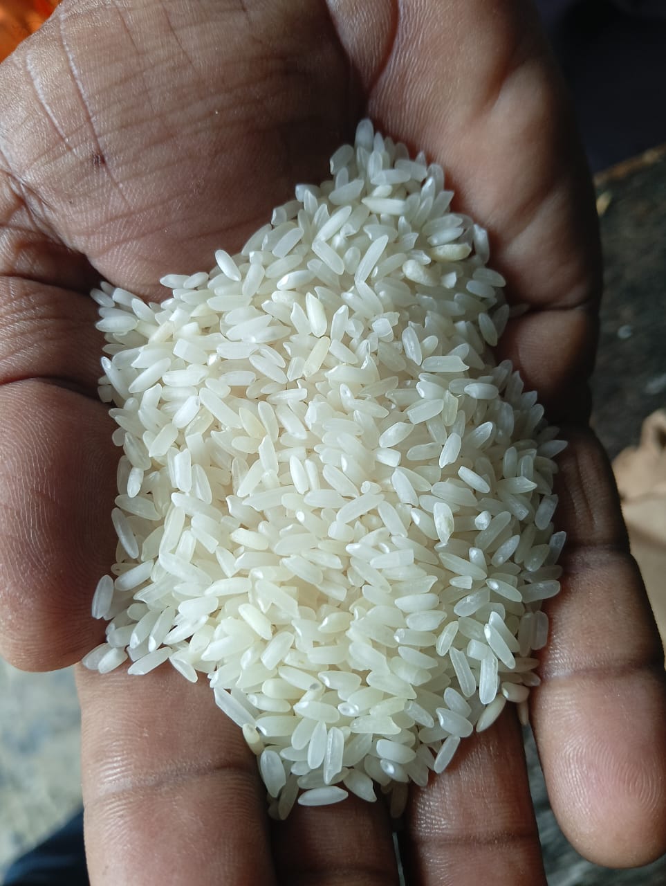 Rice Grain Hand Inspection