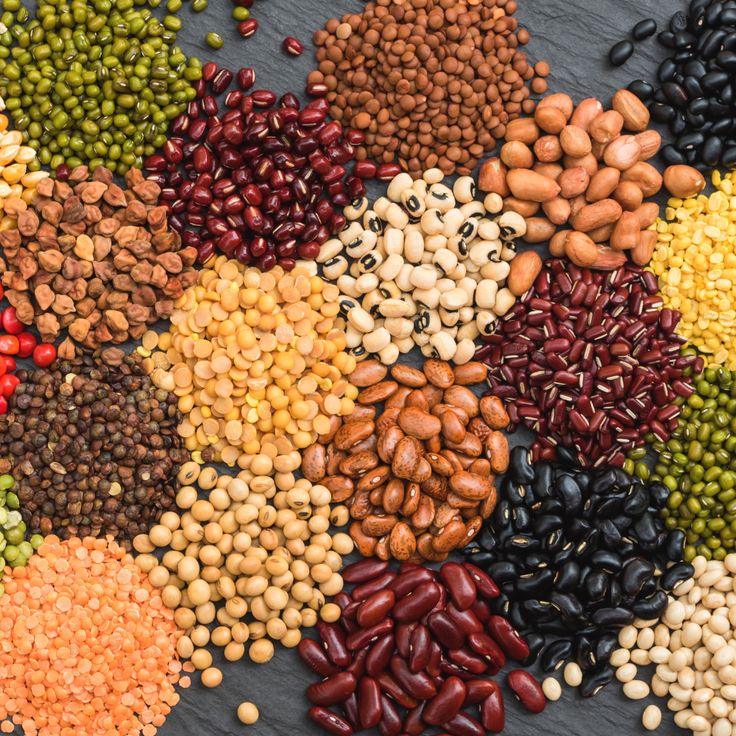 Pulses and Dal