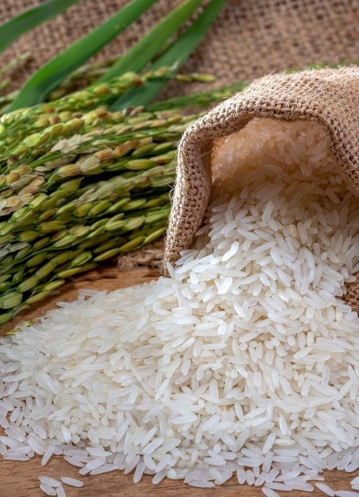 Premium Rice