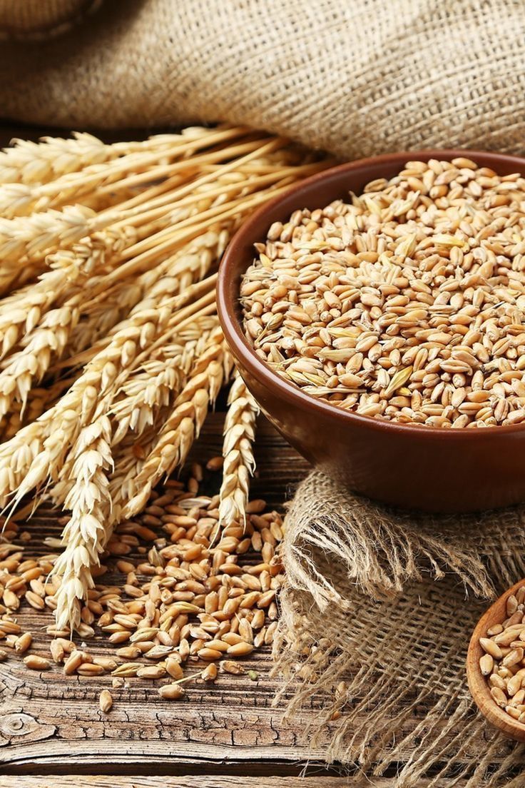 Wheat and Grains